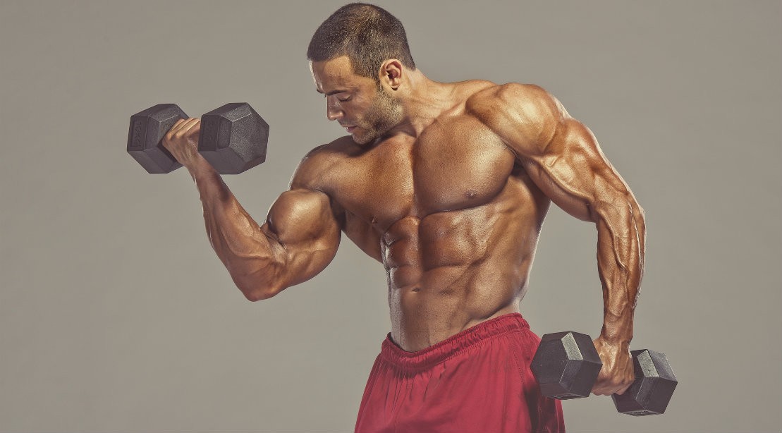 The Greatest Dumbbell-merely Biceps Exercise for More substantial Guns image regarding Arm & Hammer Printable Coupons known as The Greatest Dumbbell-simply just Biceps Work out for Much larger Guns